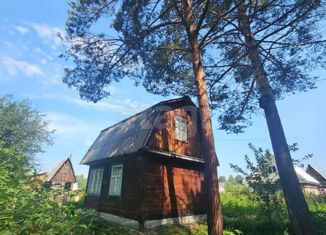 Продается дом, 43 м2, СНТ Южный, Ягодная улица, 13