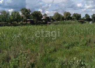 Продам участок, 2172 сот., село Безымянное