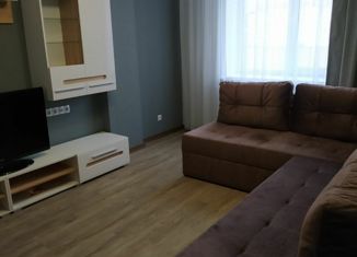 Сдается в аренду 1-ком. квартира, 36 м2, Екатеринбург, улица Гагарина, 20, улица Гагарина