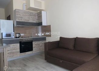Продам 1-комнатную квартиру, 25 м2, Новосибирская область, Большая улица, 25