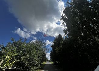 Продается земельный участок, 18 сот., деревня Насекина, Центральная улица, 13