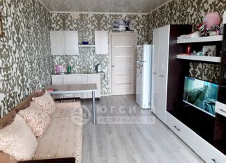 Продается квартира студия, 25 м2, село Супсех, Советская улица, 51