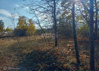 Продается участок, 13.5 сот., село Староживотинное, улица Артамонова