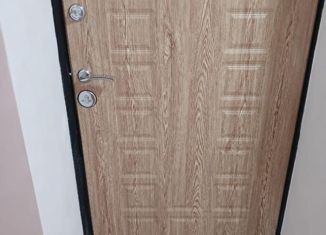 Продается однокомнатная квартира, 30 м2, село Пятихатка, улица Ленина, 3