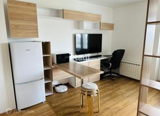 Продаю квартиру студию, 24 м2, Санкт-Петербург, Московское шоссе, 26к2, метро Звёздная