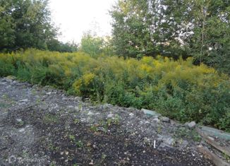 Продам участок, 12.3 сот., деревня Голошубиха, Центральная улица, 20