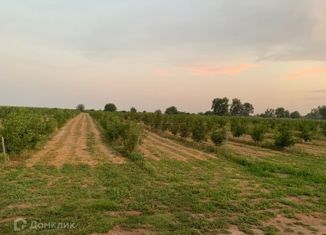 Продажа участка, 500 сот., село Кременчуг-Константиновское, Степная улица