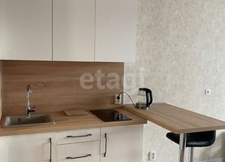 Продам квартиру студию, 18 м2, Екатеринбург, переулок Ритслянда, 15