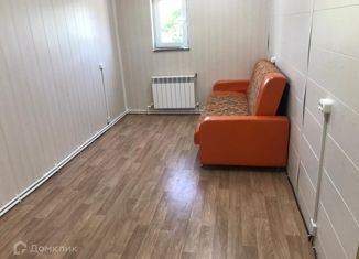 Сдам в аренду дом, 40 м2, село Красный Путь, Школьная улица, 67