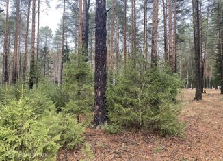 Земельный участок на продажу, 8 сот., деревня Суворовы