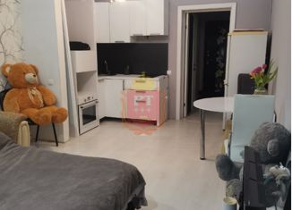 Квартира на продажу студия, 28 м2, село Осиновая Гора, 3-й Восточный проезд, 9