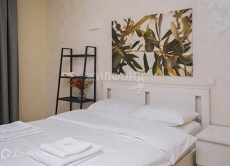 Продажа квартиры студии, 26.1 м2, Новосибирск, улица Романова, 60, улица Романова