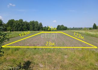 Продаю земельный участок, 37.8 сот., село Речица