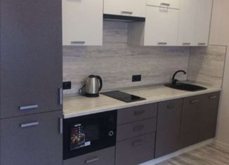 Сдача в аренду трехкомнатной квартиры, 67 м2, Казань, проспект Победы, 139к3, ЖК Победа