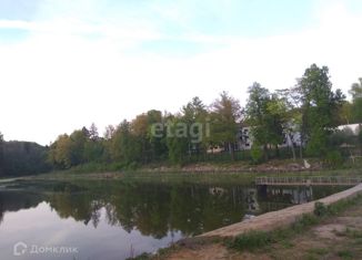 Продаю земельный участок, 12 сот., деревня Погромное, деревня Погромное, 8