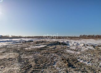 Продается участок, 130.9 сот., садоводческое некоммерческое товарищество Облепиховое, Зелёная улица