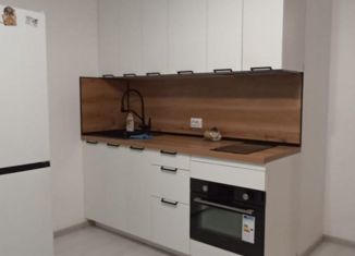 Квартира в аренду студия, 25 м2, Санкт-Петербург, Арцеуловская аллея, 17