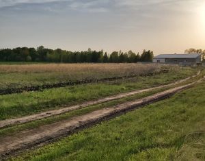 Продаю земельный участок, 10 сот., поселок городского типа Старая Майна, улица Шевченко