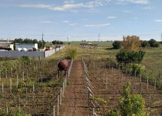 Продам участок, 12 сот., село Первомайское