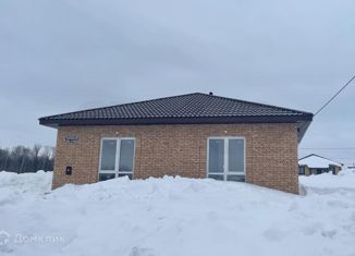 Дом на продажу, 100 м2, село Новое Шигалеево, Сиреневая улица, 13