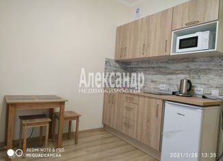 Сдача в аренду квартиры студии, 25 м2, Кудрово, Пражская улица, 4, ЖК Парклэнд