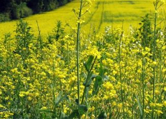 Продается участок, 32 сот., деревня Крёкшино