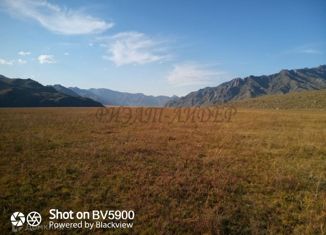 Продажа земельного участка, 700 сот., село Куюс, Центральная улица