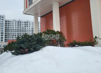 Продается 2-комнатная квартира, 64 м2, Санкт-Петербург, ЖК Морская Набережная, набережная Миклухо-Маклая, 1к1