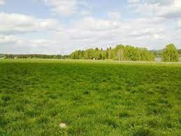 Продается участок, 25 сот., деревня Гашки