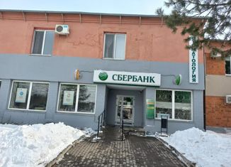 Офис на продажу, 93 м2, село Черниговка, улица Будённого, 25А