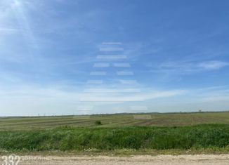 Продается участок, 300 сот., хутор Новый Сад