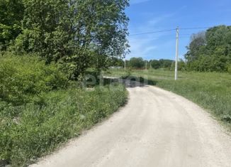 Продается земельный участок, 42.9 сот., село Зайцево, Берёзовая улица, 29