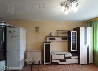 Продажа квартиры студии, 23 м2, Казань, Агрызская улица, 82, Советский район