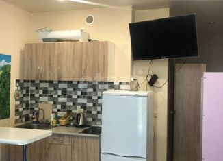 Продается квартира студия, 23.6 м2, Ольгинка, Заречная улица, 7Б