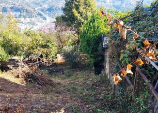 Земельный участок на продажу, 4.3 сот., село Барановка (Хостинский район), садоводческое товарищество Монтажник, 45