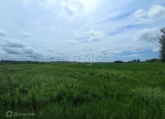 Продажа участка, 8.5 сот., село Волково, Школьный переулок