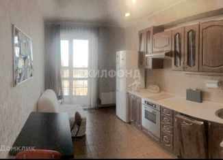 Продам 1-комнатную квартиру, 41.5 м2, Новосибирск, микрорайон Горский, 8, метро Студенческая