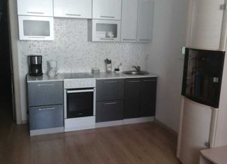 Продам квартиру студию, 26 м2, Санкт-Петербург, ЖК Граффити, проспект Королёва, 59к1