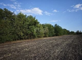 Участок на продажу, 4 сот., посёлок Красный, Вольная улица