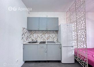 Аренда квартиры студии, 30 м2, поселок Бугры, Тихая улица, 5к1, ЖК Новые Горизонты