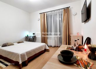 Продам квартиру студию, 24.5 м2, Санкт-Петербург, 5-й Предпортовый проезд, 2, 5-й Предпортовый проезд