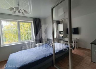 Продаю квартиру студию, 16.5 м2, Санкт-Петербург, Выборгское шоссе, 31, Выборгское шоссе