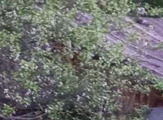 Дом на продажу, 20 м2, СДТ Сюктерский