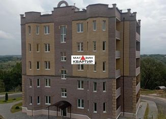 1-комнатная квартира на продажу, 33 м2, деревня Киселёвка, Никольская улица, 9Б