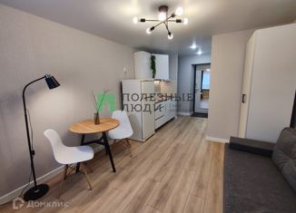 Продаю квартиру студию, 17.5 м2, Воронеж, улица Берёзовая Роща, 20, Центральный район