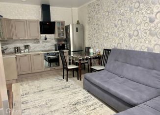 Сдается 2-комнатная квартира, 45 м2, Челябинск, проспект Героя России Е.Н. Родионова, 17, ЖК Ньютон