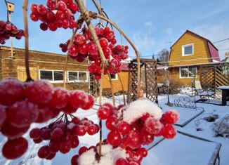 Продажа дома, 70 м2, СНТ Фронтовик, СНТ Фронтовик, 44