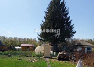 Продам дом, 20 м2, Искитим