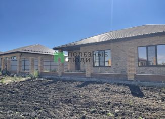 Продается дом, 163 м2, село Новотроицкое, Центральная улица, 51