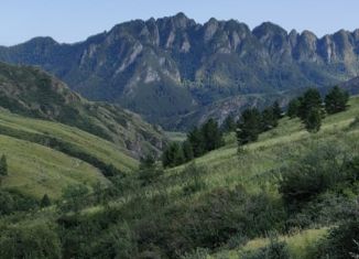 Продажа участка, 1220 сот., село Толгоек